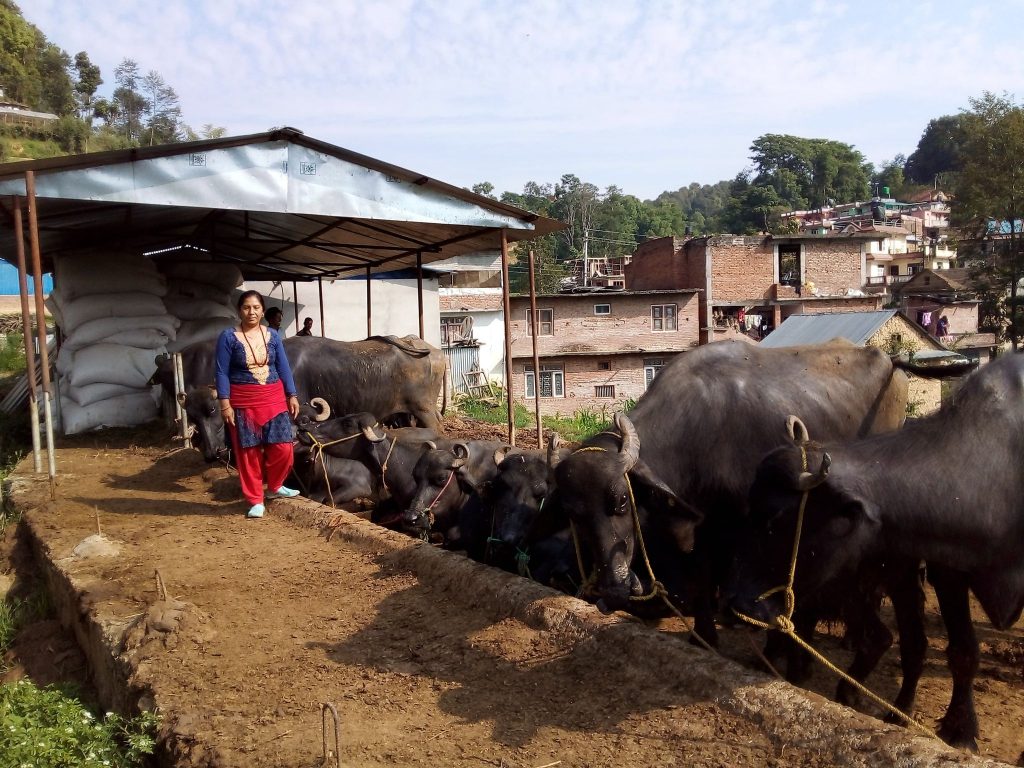 कोरोना विशेषको प्रभाव, कृषकलाई राहत