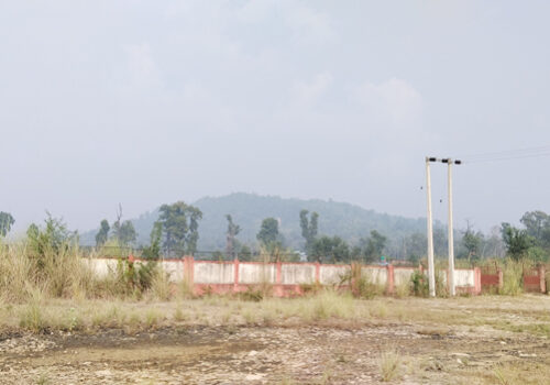 नगरपालिकाको वेवास्ताले सुनवल औद्योगिकग्राम चरन क्षेत्रमा परिणत