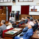 बजेट कार्यान्वयन, कर नीति र रोजगारीका विषयमा सांसदहरूको सरकारलाई खबरदारी