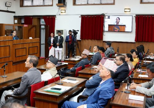 बजेट कार्यान्वयन, कर नीति र रोजगारीका विषयमा सांसदहरूको सरकारलाई खबरदारी