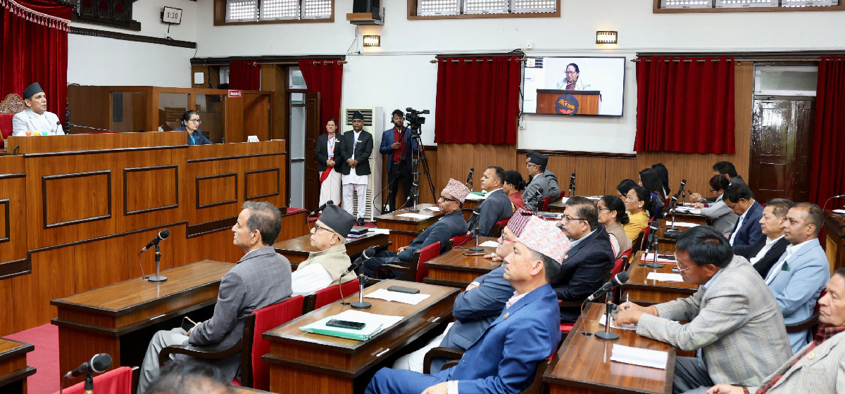 बजेट कार्यान्वयन, कर नीति र रोजगारीका विषयमा सांसदहरूको सरकारलाई खबरदारी
