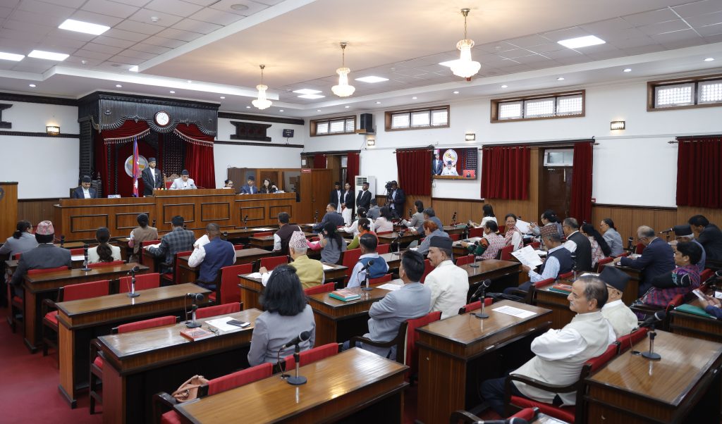 राष्ट्रियसभा सदस्यद्वारा सुकुमबासी व्यवस्थापनदेखि घरेलु हिंसा र चिया उद्योगसम्म सरकारको ध्यानाकर्षण