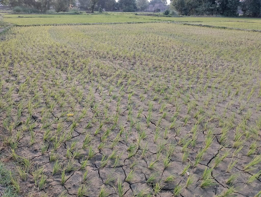 बर्दघाट क्षेत्रमा वर्षा नहुँदा अत्यधिक गर्मीसहित पानीको हाहाकार