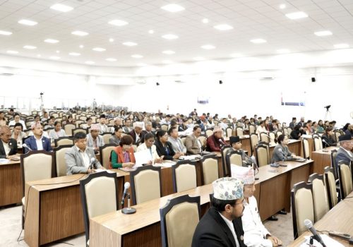 प्रतिनिधि सभा बैठक असार ११ गतेसम्म स्थगित