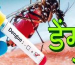 साउनदेखि ‘डेङ्गु सचेतना अभियान संचालन गर्न जनस्वास्थ्य कार्यालय काभ्रे कटिबद्ध छ : अधिकृत श्रेष्ठ
