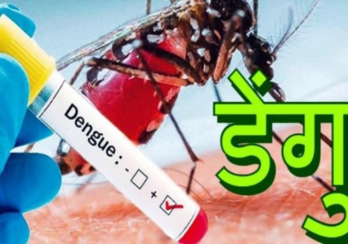 साउनदेखि ‘डेङ्गु सचेतना अभियान संचालन गर्न जनस्वास्थ्य कार्यालय काभ्रे कटिबद्ध छ : अधिकृत श्रेष्ठ