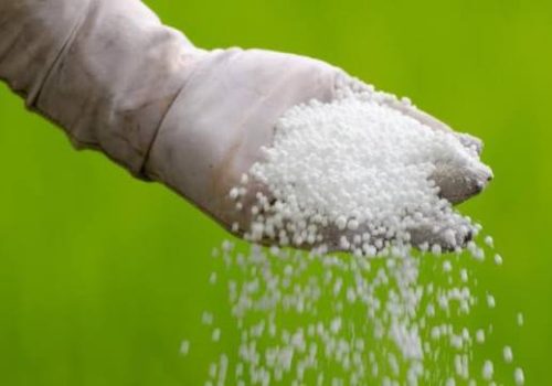 काभ्रेमा रासायनिक मलको अभाव छैन, ७७३.५५ मेट्रिक टन मौज्दात