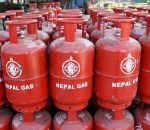 पुराना ग्यास सिलिन्डरको नियमित जाँच गर्न समितिको निर्देशन