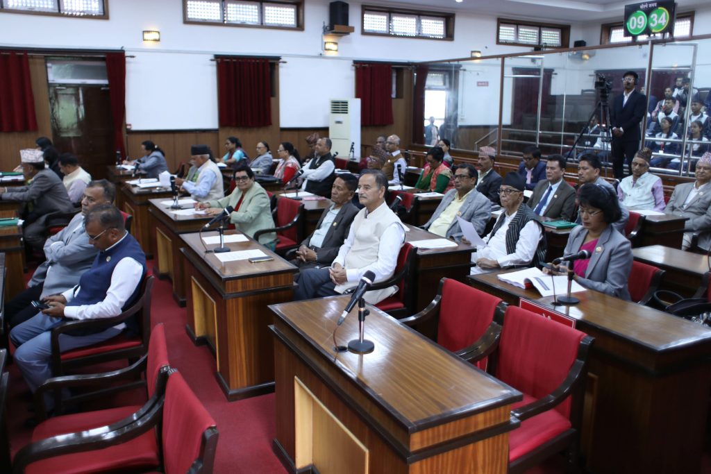 जनअपेक्षा पूरा गर्न सरकार केन्द्रित हुनुपर्नेमा सांसदहरूको जोड