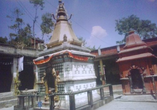 धनेश्वर मन्दिरका बारेमा पुरातात्त्विक अध्यनको जरुरी छ : खोजकर्ता श्रेष्ठ