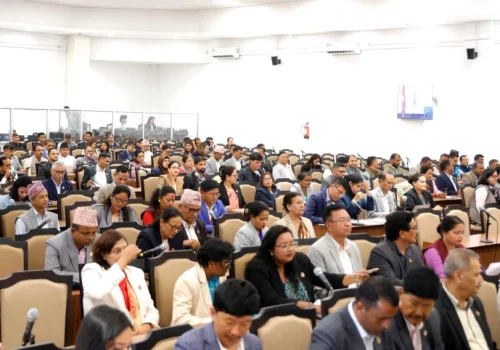 सरकारले गठन गरेका छानबिन समितिका प्रतिवेदन सार्वजनिक गर्न सांसद केरुङको माग