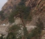 रसुवा जाने–आउने सवारीमा अस्थायी एकतर्फी सवारी सञ्चालन