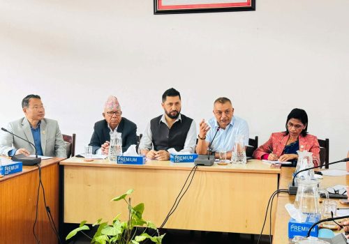 बाढीपीडितको उद्धार र पुनर्निर्माणका लागि एक साताभित्र संसदीय विशेष समिति गठन गर्ने निर्णय