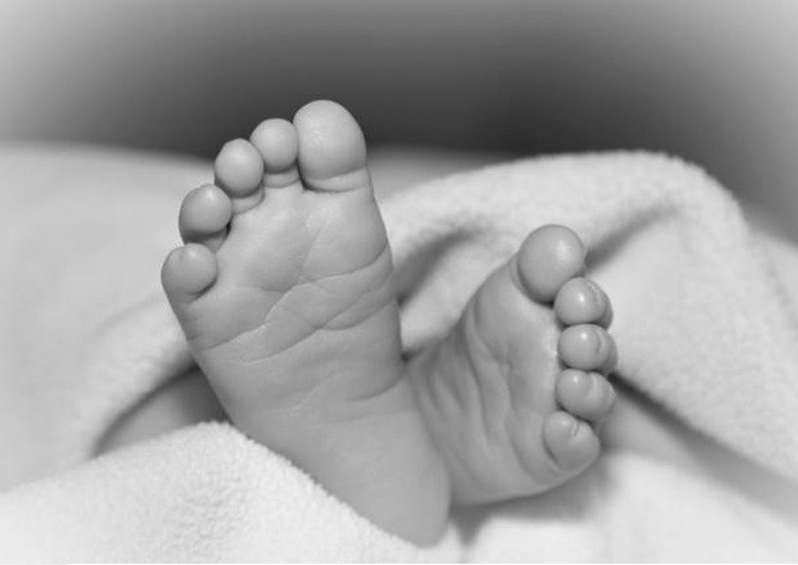 जङ्गली च्याउ खाँदा तीन वर्षीया बालिकाको मृत्यु, आमा उपचारपछि डिस्चार्ज